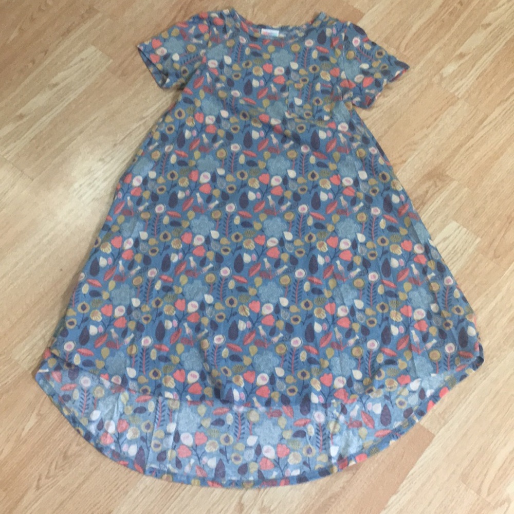 Xxs Lularoe Carly dress